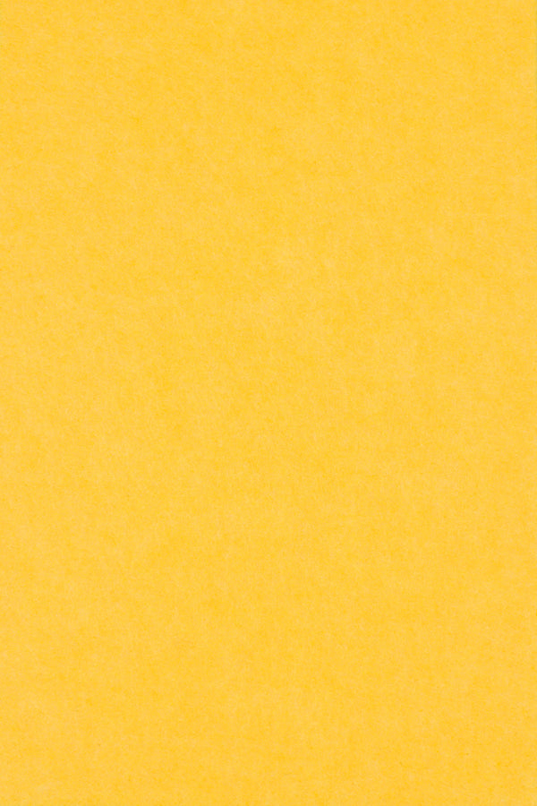 AUTT22SQWSTSMPNA | TruTile™ Designs Acoustic Wall Tile Series